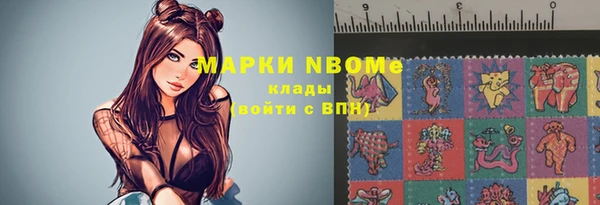 прущий лед Пересвет