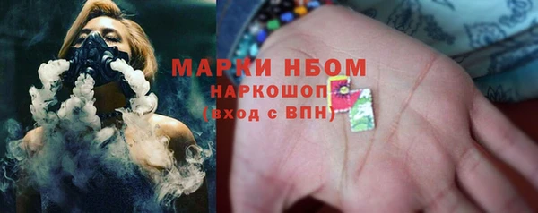 прущий лед Пересвет