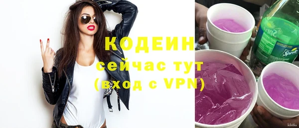 прущий лед Пересвет