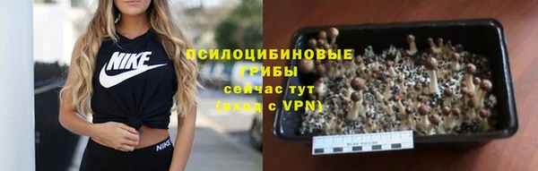 крисы Переславль-Залесский