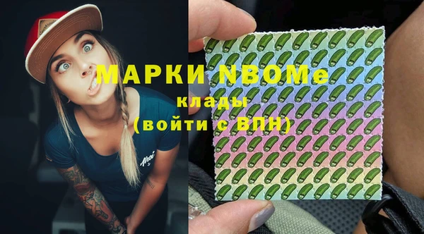 прущий лед Пересвет
