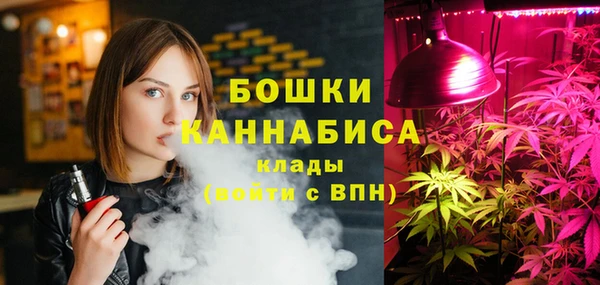 прущий лед Пересвет