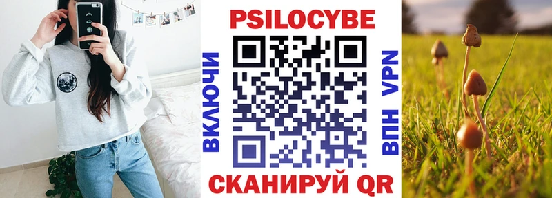 darknet телеграм  Суровикино  Псилоцибиновые грибы мухоморы 